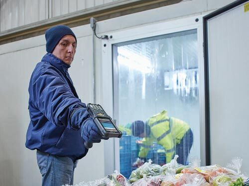 Zebra Technologies MC9300 Cold Storage