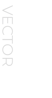 typ_vector